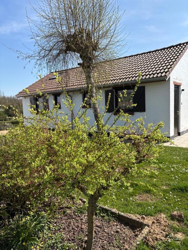 Villa Mijn Kleinhof Westouter Exterior foto